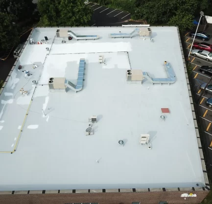DJI 0464 scaled 1