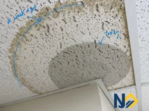 roof-leak-drop-celing